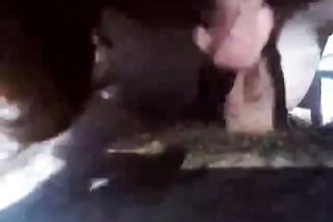 Buxom trollop sucks my stiff jock like a gifted wang sucker