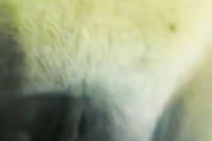 Pleasing my milfie Indian Married slut by rubbing her clit