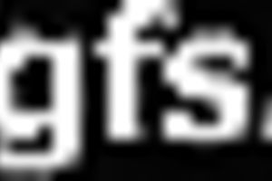 Cock hungry sweetheart loved to engulf that not so big ramrod of her ally