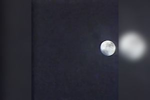 Stunning blonde beauty rides her boyfriend's large pecker