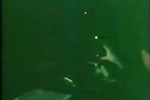 Man bangs her in missionary style and cums on her stomach button