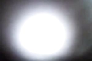 Chubby Latina dark head sluggishly sucked my buddy's rock hard BBC