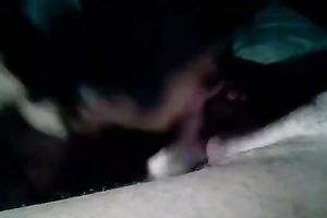 Fat jerk gets his not so big knob sucked by a hawt oriental babe