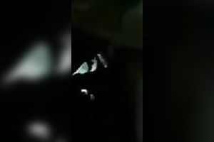 Chubby Indian cutie bare on the livecam clip chat