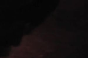 Horny chap seduces his Russian girlfriend for sex on cam