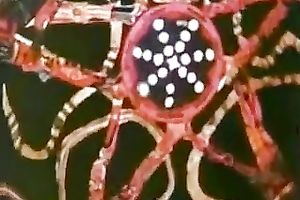 Whorish white milf loved the way she got drilled