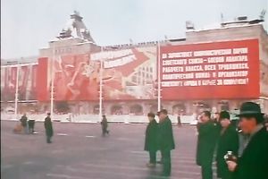 Curly haired brunette hair playgirl gives hardcore unfathomable mouth wang engulf