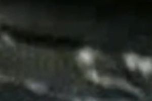 Playful and curvaceous Indian girl flashes her body exposed on webcam