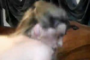 Dark haired whorish cutie has hawt fuck with her feverish hubby in bedroom