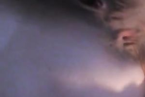 Lusty and breasty web livecam wench was teasing her own beefy slit