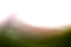 Ugly fat non-professional brunette hair wifey provides her hubby with BJ on livecam