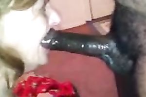 Lewd older plump slut was blowing powerful obese dark weenie