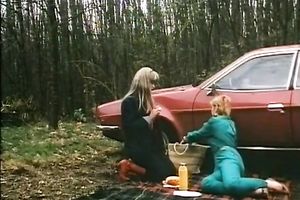 Sexy all natural white European hotties on the picnic jointly