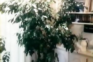 Retro porn compilation with foursome fuckfest and FFM act