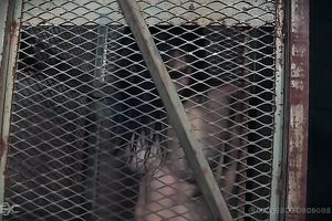 Beautiful redhead BBC slut chained and drilled with a machine