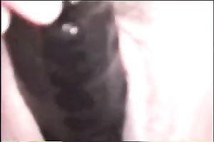 My obese older doxy and her ridiculously lengthy sex-toy