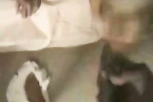 My saucy short-haired sexpot sucks my BBC and acquires spunk flow