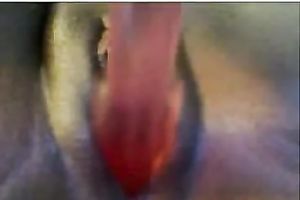 Big bottomed aged nerdy dark slutty wife played with her hungry twat on web camera