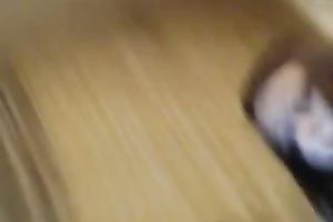 Adorable legal age teenager pleasing her constricted pink muff with sex toy