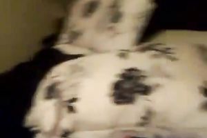 Pink hairless wet crack of nice-looking lustful dark brown girlfriend is nailed mish (MFM)