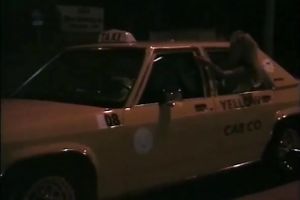 Horny and excited sluts with good butts have pleasure in the car