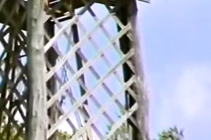 Busty torrid blondie attacked the throat of mustached chap and got nice twat licking