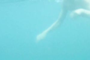 My charming slutwife swims underwater and her arse muscles work