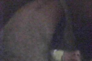 Big gazoo of my sexy Romanian coed shakes when I fuck her