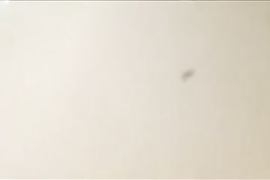 I stealthily took this astounding upskirt clip of spicy hot chick