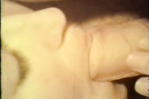 Two lewd whores in his bedroom enchanting him by engulfing his pecker