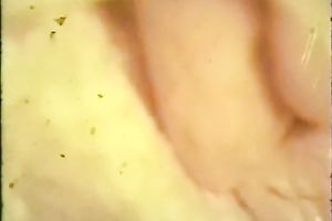 Two lewd whores in his bedroom enchanting him by engulfing his pecker