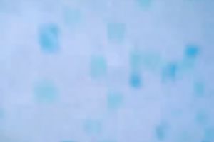 Splendid non-professional black cock sluts is shy to show me her large arse in shower