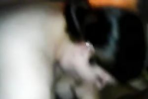 Milf big beautiful woman brunette hair white housewife gives me head on intimate movie scene