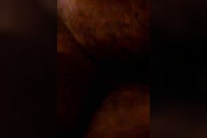 Stretching loose squirting vagina of my big beautiful woman swarthy girlfriend