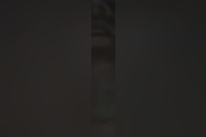 My wife's smoothly bald thick fur pie drives me eager