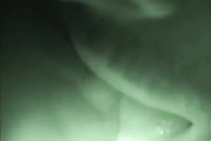 My breasty girlfriend adores whilst my beard tickles her nipps