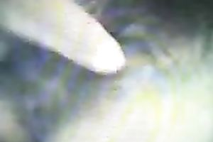 My Chinese dark brown older BBC slut busy engulfing shlong