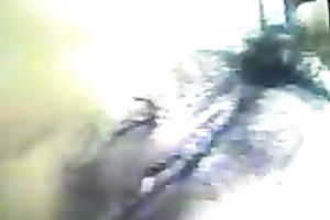 My Chinese dark brown older BBC slut busy engulfing shlong