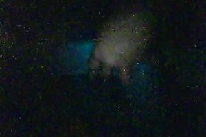 Webcam solo with a Filipina hussy toying her love tunnel