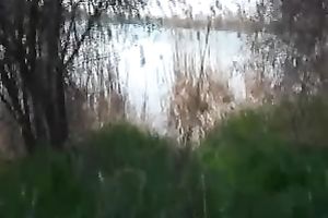 Exploring my wife's ravishing and palatable looking fur pie as I finger it