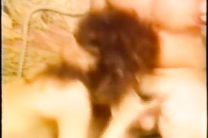 Broad assed dirty tramps attacked lengthy cocked dawg