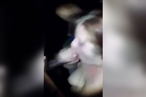 Trashy redhead floozy pumping my big dark wang like thirsty hooker