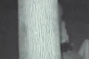 Brunette white milf white bitch with her youthful paramour on the beach