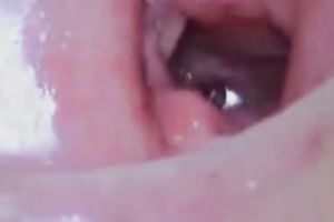 Adorable and perverted Arab white wife screwed and fed with a dong