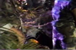 Cock hungry and horny playgirl likes big and bulky rods