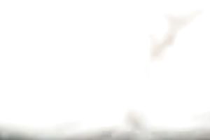 I have a fun drilling juicy cunt of my sweet and sexually excited a bit pale wife