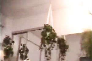 Busty Asian mother I'd like to fuck receives cheerful by horny American fucker