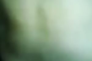 Nasty Married slut receives drilled from the back by her sexually excited spouse