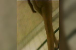 Blonde Married slut with the puffy muff and hot milf gazoo