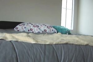 Sweet non-professional summer girl alone in the bedroom masturbating